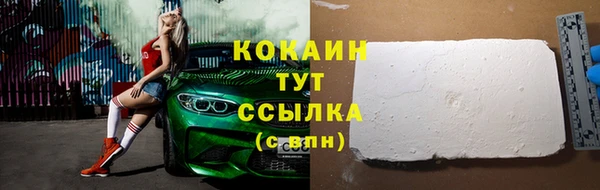шишки Абаза
