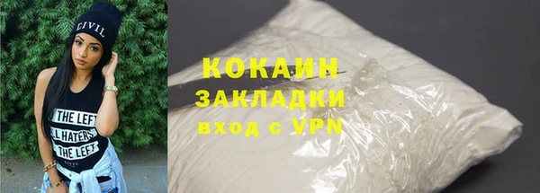 шишки Абаза