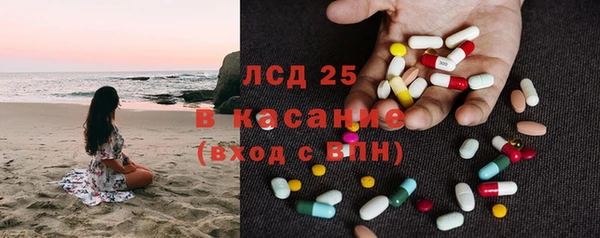 шишки Абаза