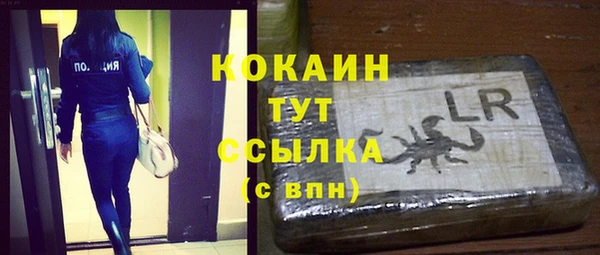 шишки Абаза