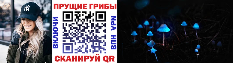 купить наркоту  Алатырь  Псилоцибиновые грибы прущие грибы 